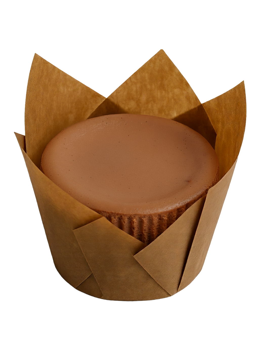 cosmic chocolate cheesecake